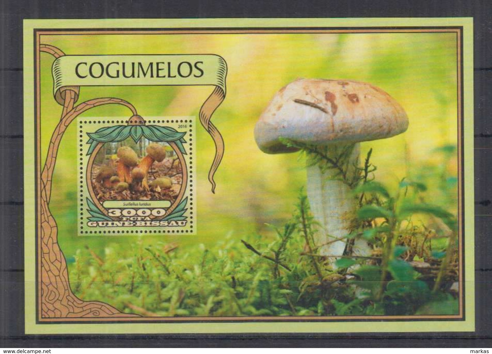 P744. Guine-Bissau - MNH - 2016 - Nature - Flora - Mushrooms - Bl - Sonstige & Ohne Zuordnung