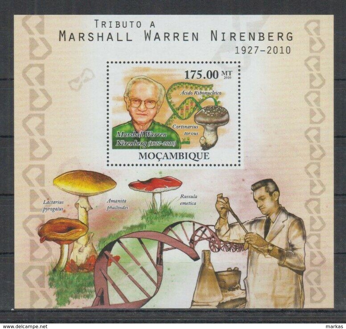 Z743. Mozambique - MNH - 2010 - Nature - Flora - Mushrooms - Bl - Sonstige & Ohne Zuordnung