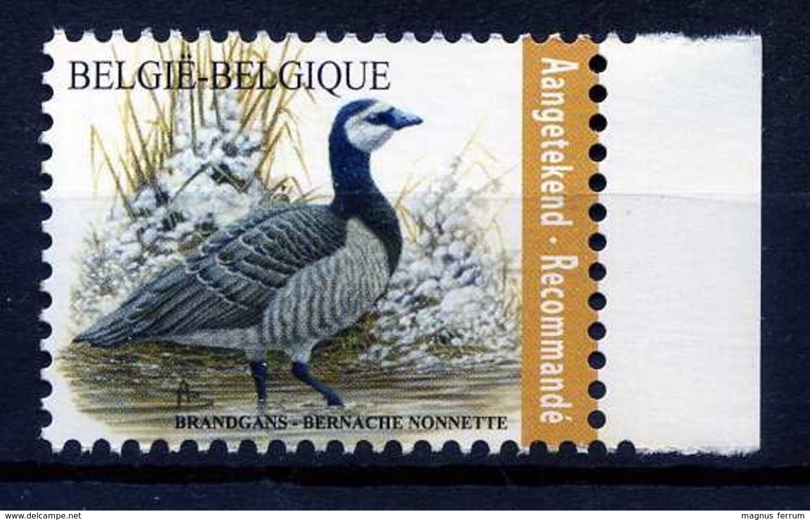 2020 Belgium, Birds, Barnacle Goose, Buzin, Stamp, MNH - Other & Unclassified