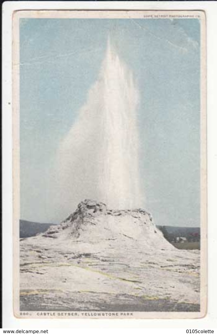 CPA - Etats Unis WY - Castel Geyser, Yellowstore Park :  Achat Immédiat - ( Cd029 ) - Yellowstone