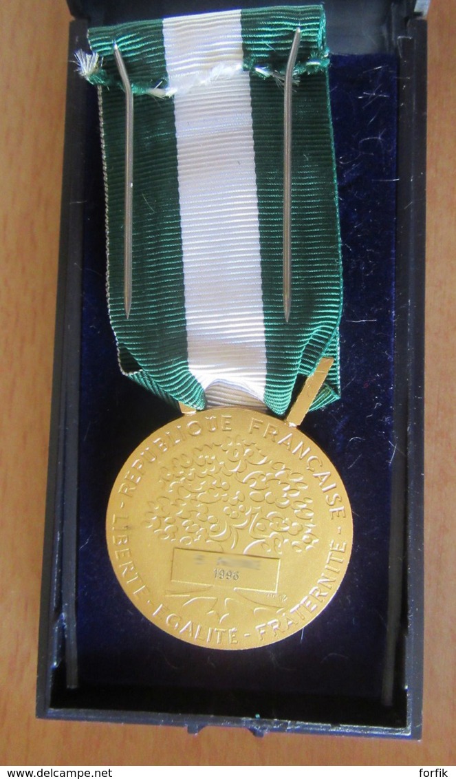 France - Médaille D'Honneur Communale, Régionale, Départementale - Attribuée - Métal Doré - Neuve En Coffret - 1996 - Professionals / Firms
