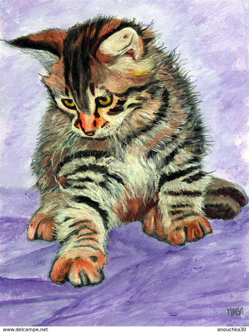 PEINTURE ACRYLIQUE SIGNEE MAEXI  CHATON DOMESTIQUE - Acrilici