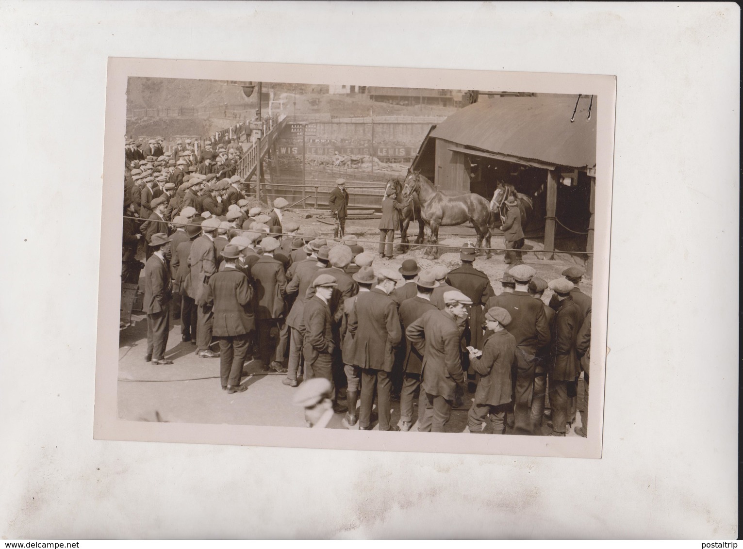 PIT PONIES COAL WAR MINES IN GRAVE PERILL  COAL STRIKE MINERS MINING MINES MINA 20*15CM Fonds Victor FORBIN 1864-1947 - Profesiones