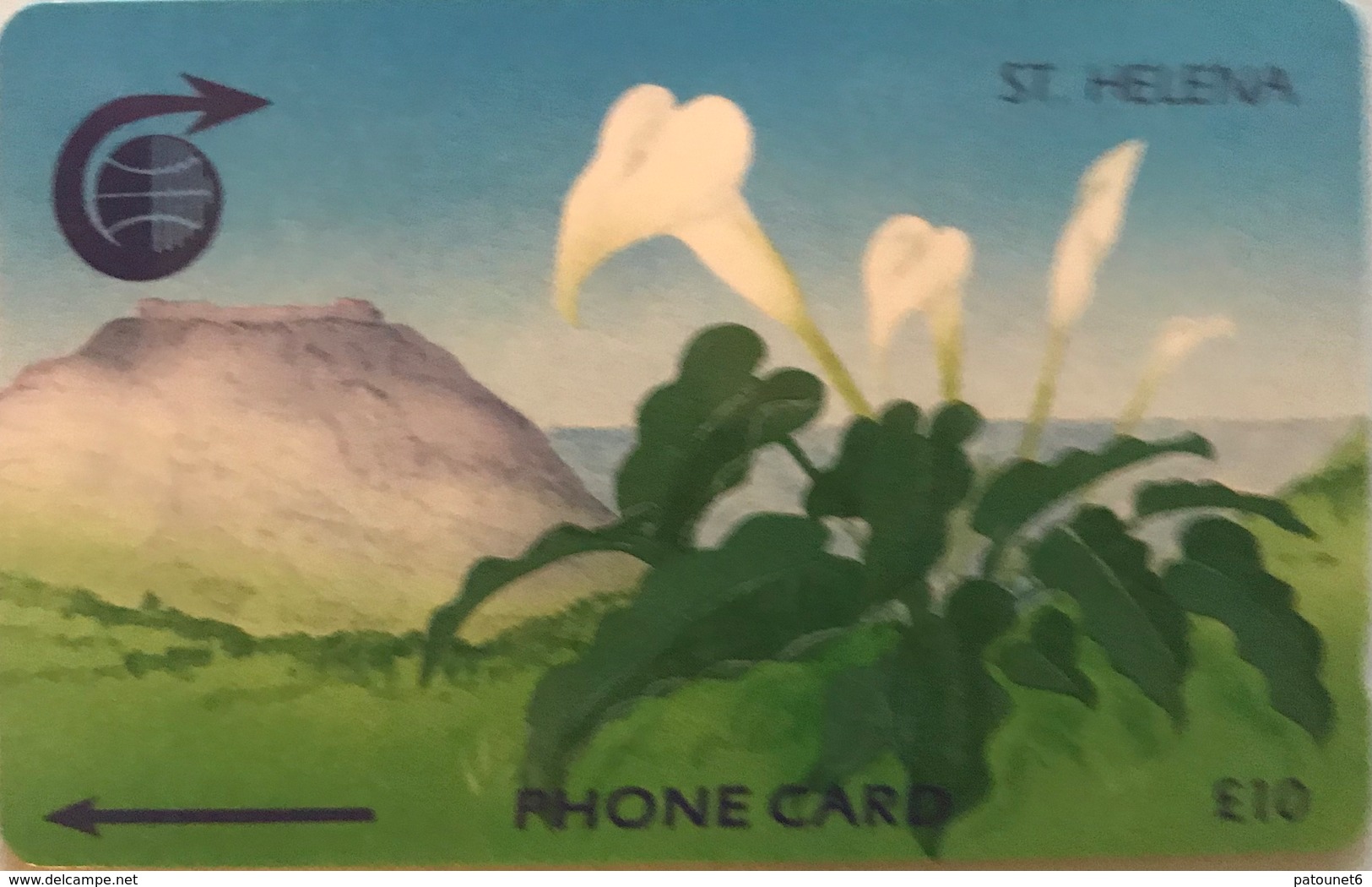 SAINTE-HELENE  -  Cable  § Wireless  -  Flower " Arum Lily "  -  £10,00 - Sainte-Hélène