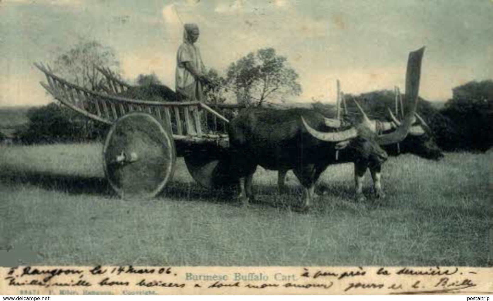 BIRMANIA // BURMA // MYANMAR. BURMESE BUFFALO CART - Myanmar (Burma)