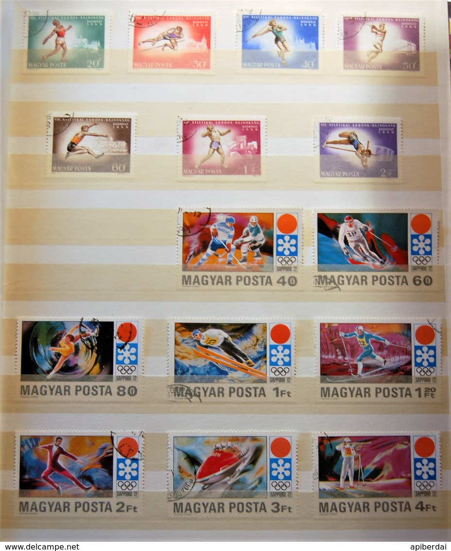Hongrie Magyar - Small Batch Of 6 Classification Cards Stamps Used - Lots & Kiloware (mixtures) - Max. 999 Stamps