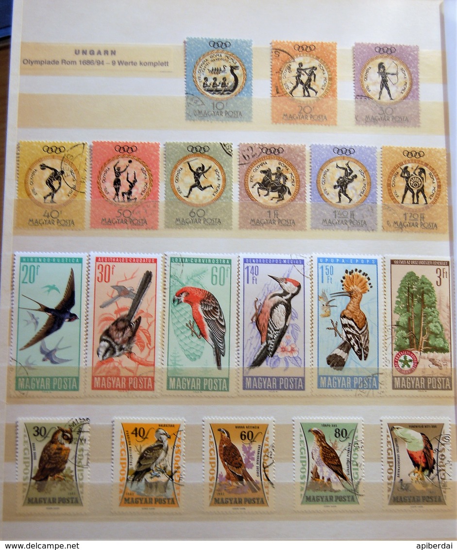 Hongrie Magyar - Small Batch Of 6 Classification Cards Stamps Used - Lots & Kiloware (mixtures) - Max. 999 Stamps