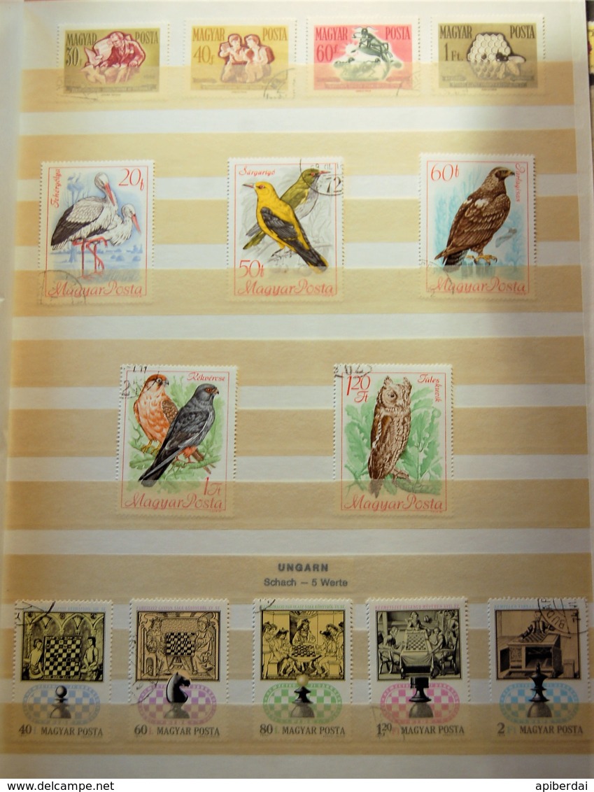 Hongrie Magyar - Small Batch Of 6 Classification Cards Stamps Used - Lots & Kiloware (mixtures) - Max. 999 Stamps