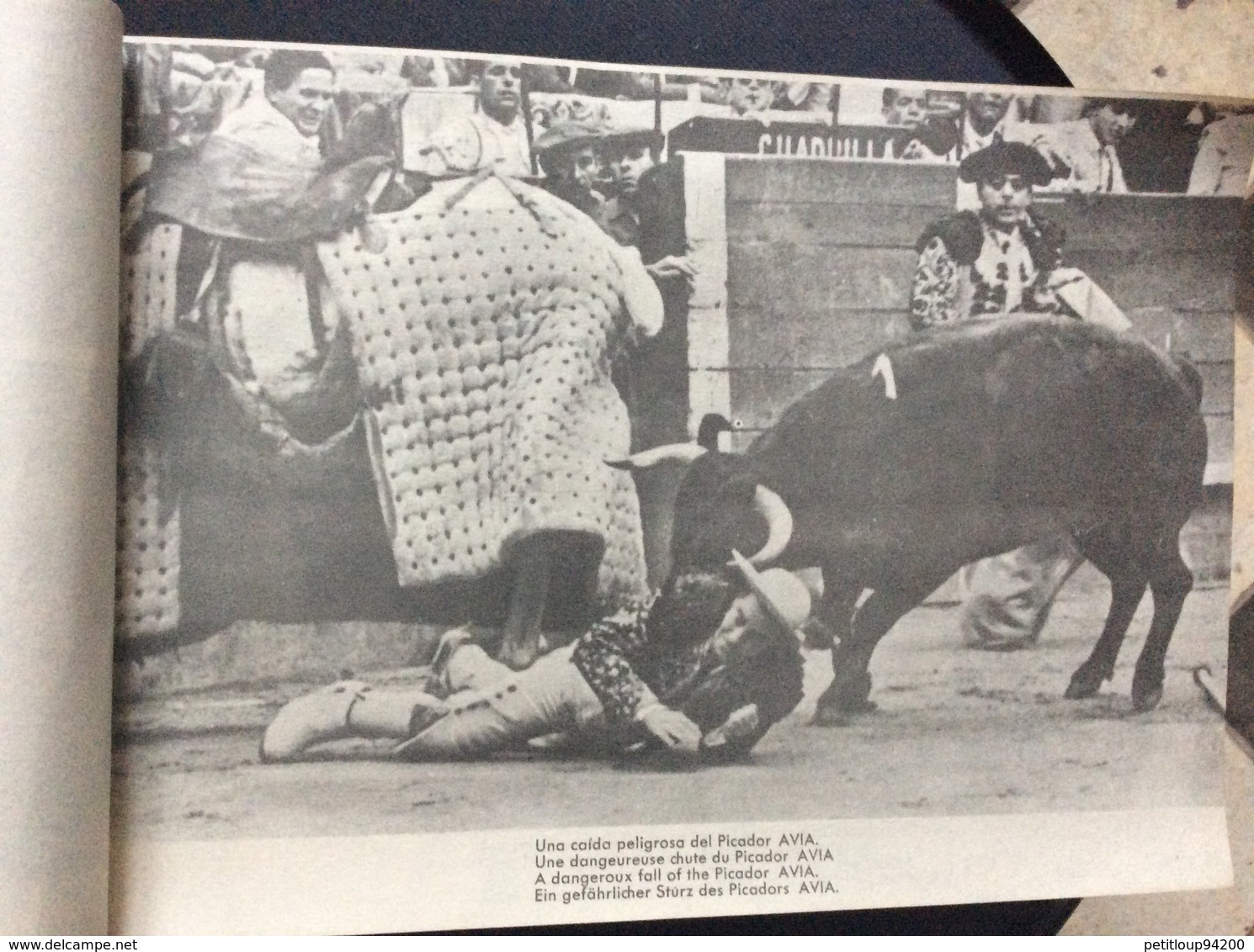 PROGRAMME FIESTA NACIONAL ESPANOLA  Toros Taureaux The Bul-Fight  JAIME ROSELL  Annees 1950