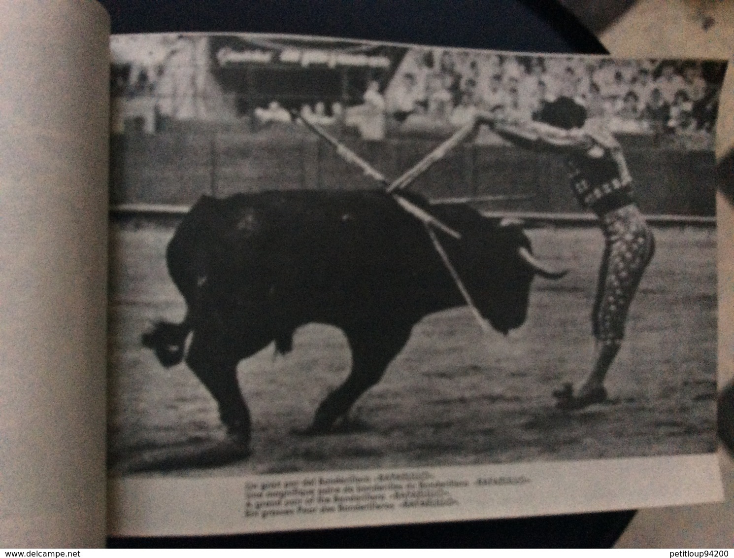 PROGRAMME FIESTA NACIONAL ESPANOLA  Toros Taureaux The Bul-Fight  JAIME ROSELL  Annees 1950