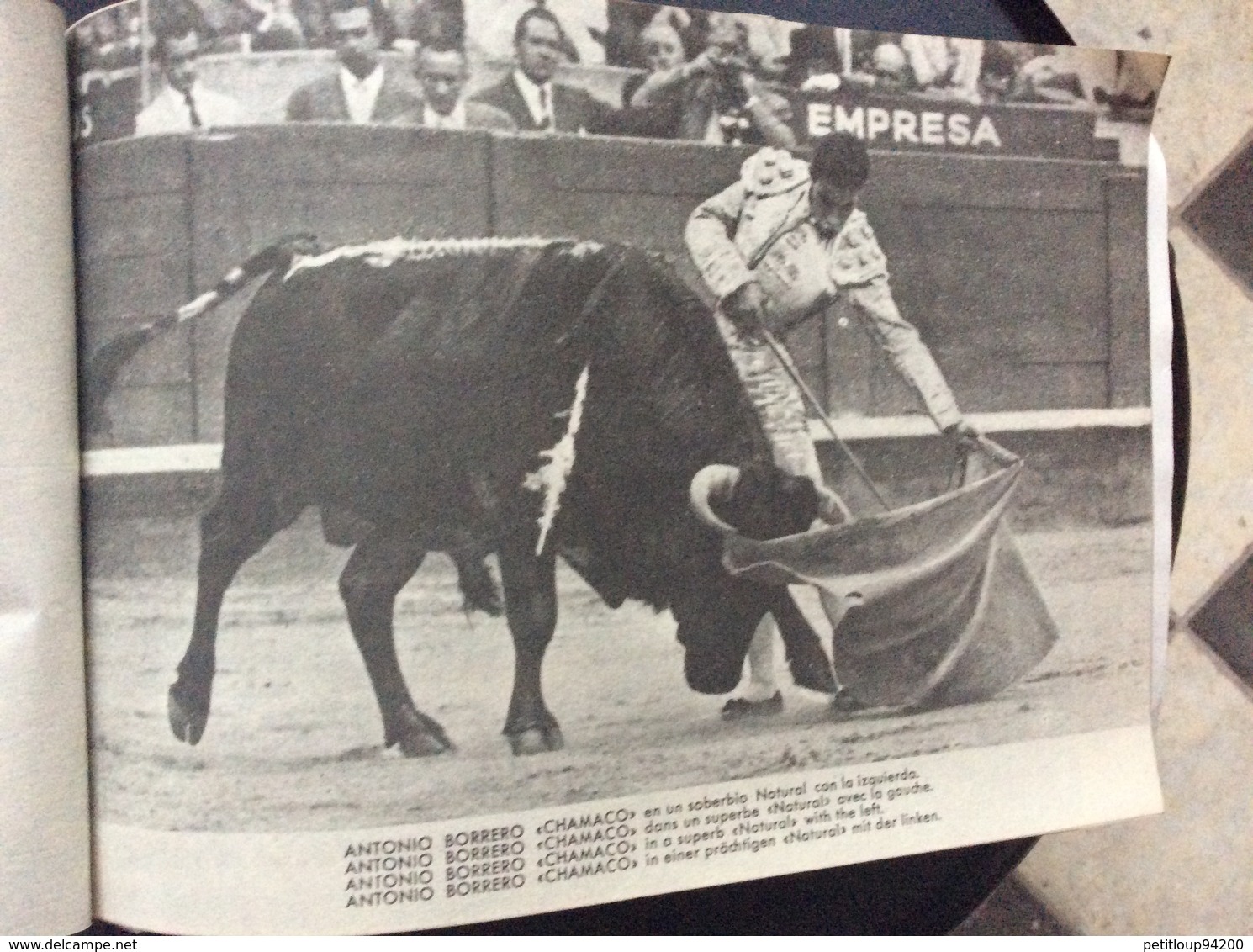 PROGRAMME FIESTA NACIONAL ESPANOLA  Toros Taureaux The Bul-Fight  JAIME ROSELL  Annees 1950