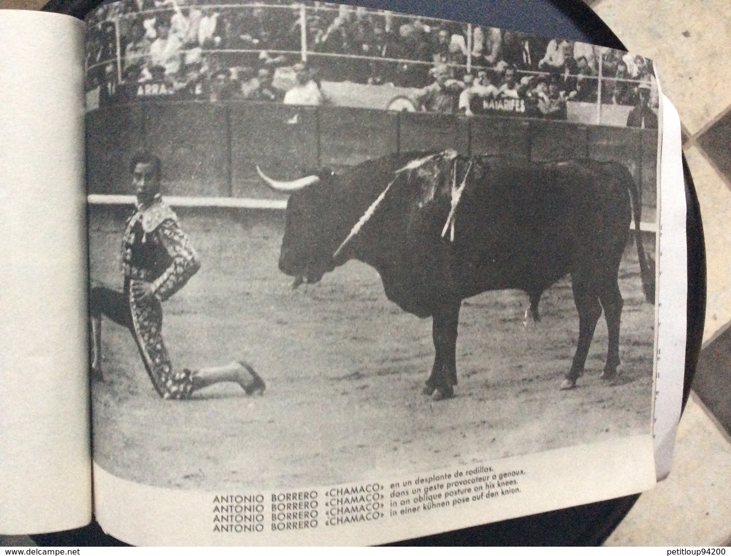 PROGRAMME FIESTA NACIONAL ESPANOLA  Toros Taureaux The Bul-Fight  JAIME ROSELL  Annees 1950