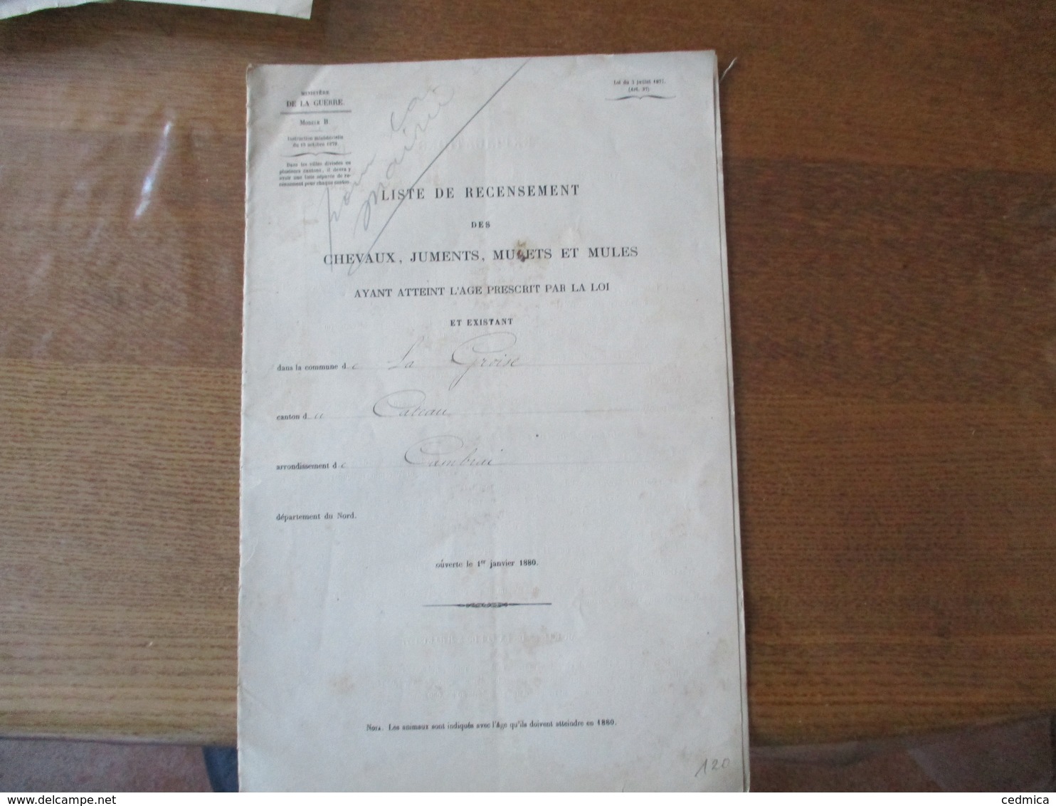 MINISTERE DE LA GUERRE LISTE DE RECENSEMENT DES CHEVAUX JUMENTS MULETS ET MULES EXISTANT A LA GROISE AU 1er JANVIER 1880 - Documentos