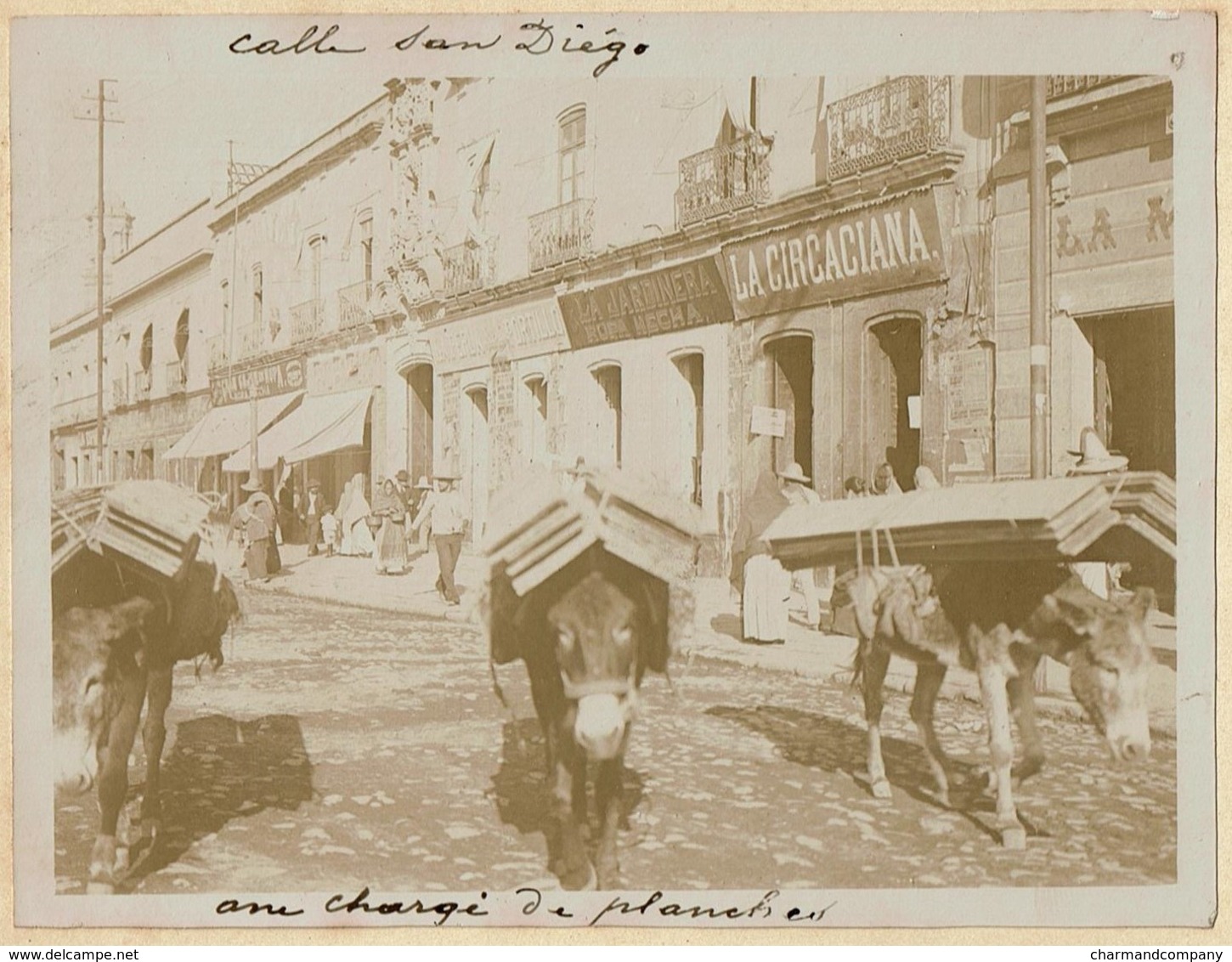 C1895 - Mexico - Calle San Diego - Anes Chargés De Planches / Shops La Circaciana .. - 2 Scans - Antiche (ante 1900)