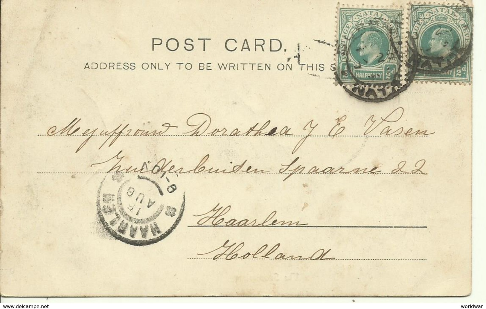 1903 Two Post Cards From Durban To Haarlem, Holland - Natal (1857-1909)