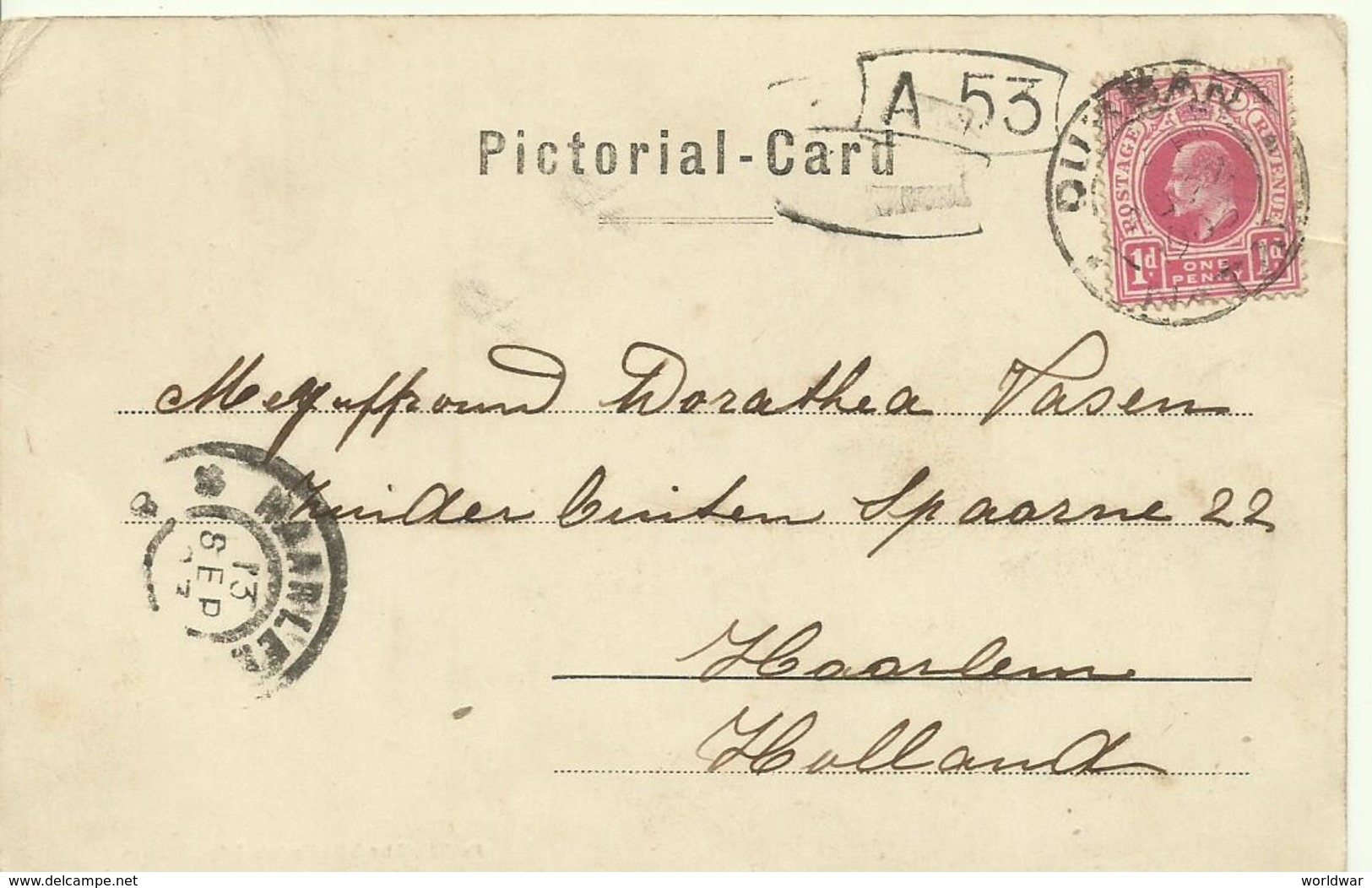 1903 One Penny Stamp  On Pictorial Card From Durban To Haarlem, Holland - Natal (1857-1909)