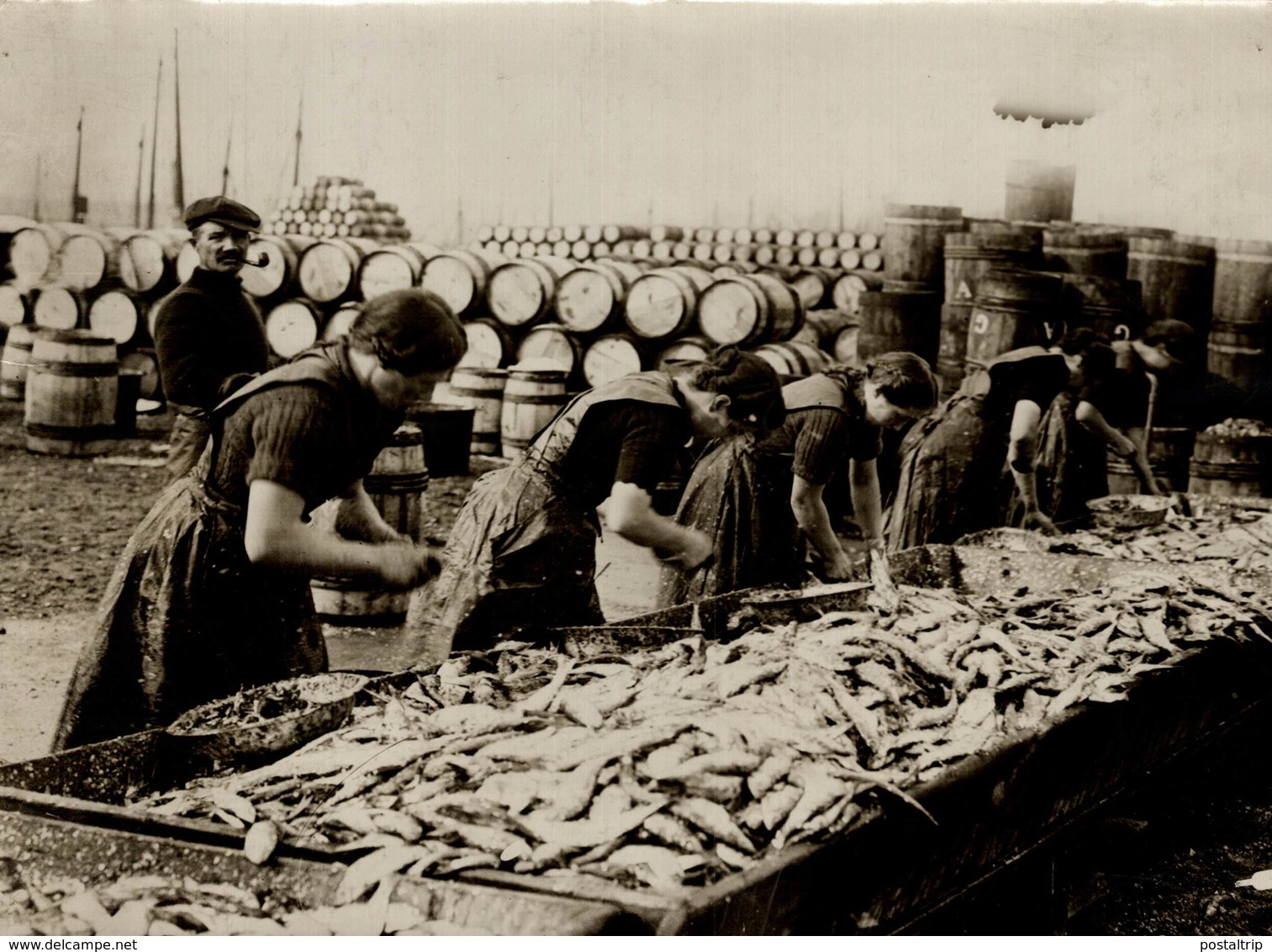 ENORMOUS CATCH  OF HERRINGS  SCOTCH FISH GIRLS AT WORK 22*17CM Fonds Victor FORBIN 1864-1947 - Profesiones