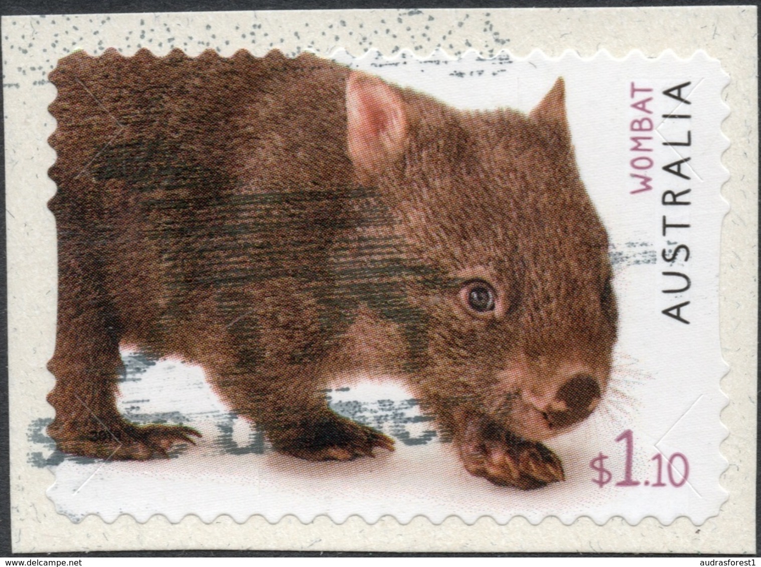 2020 AUSTRALIA WOMBAT $1.10 Very Fine Used Self-adhesive Stamp ON PAPER - Oblitérés