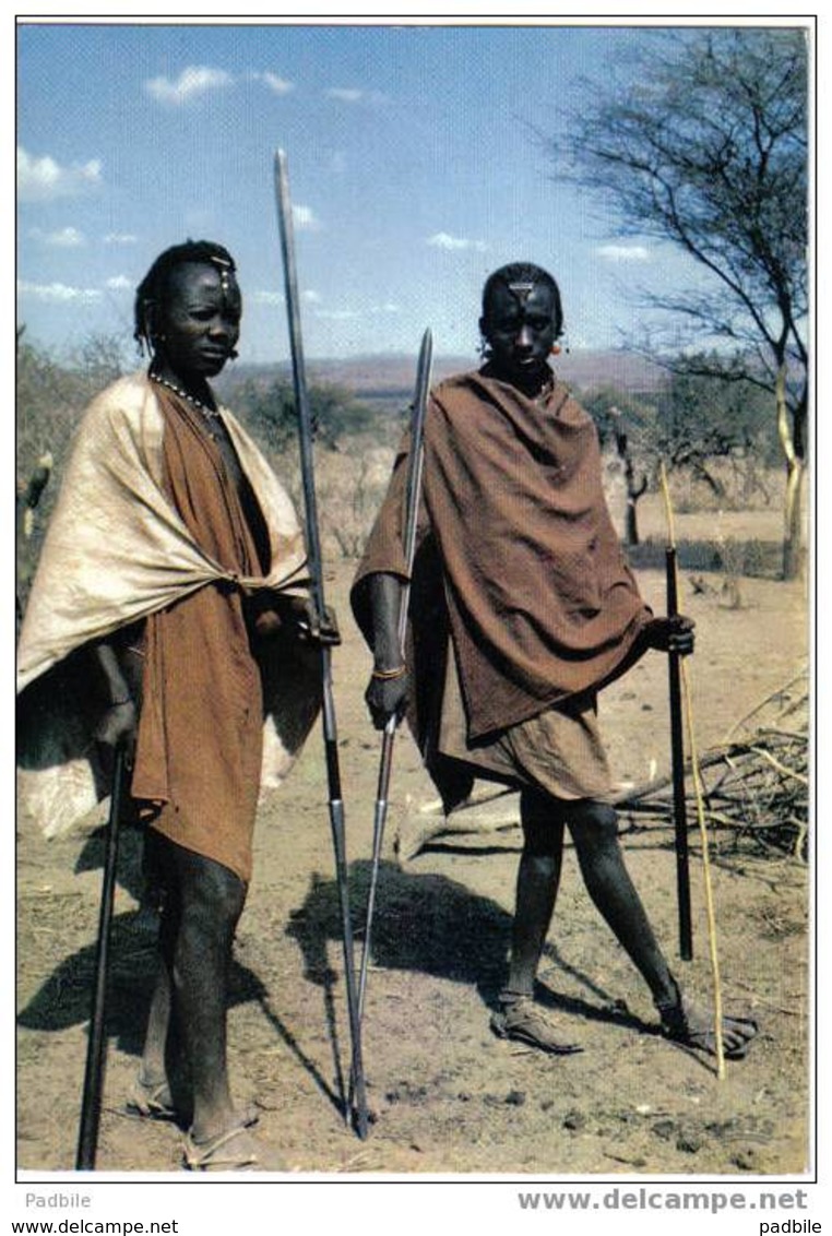 Carte Postale  KENYA  Masaï Warriors édit: IRIS  Hoa-Qui N° 4129  BT3 - Kenya