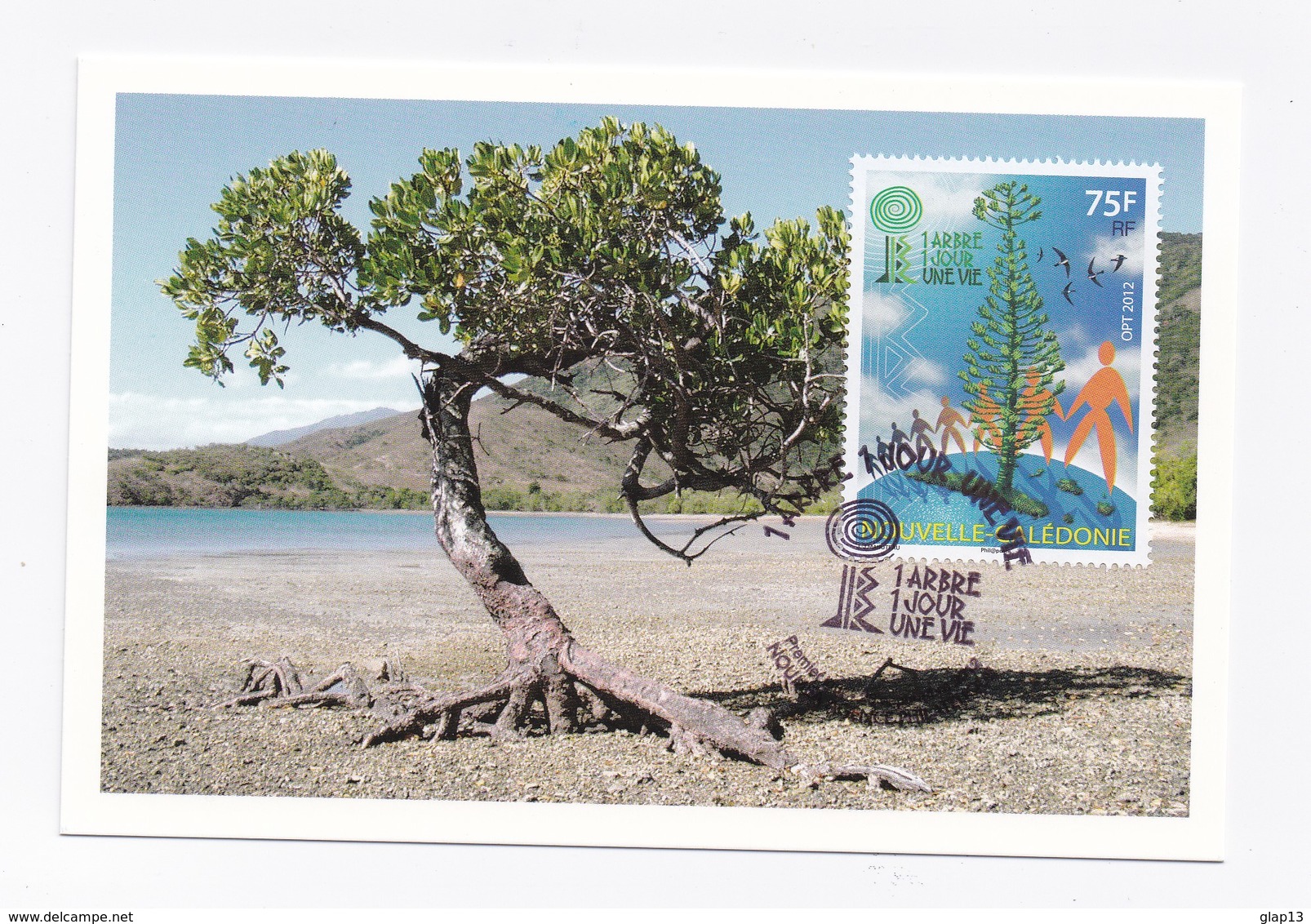 CM DE NOUVELLE-CALEDONIE DE 2012 - 1 JOUR 1 ARBRE UNE VIE - Cartes-maximum