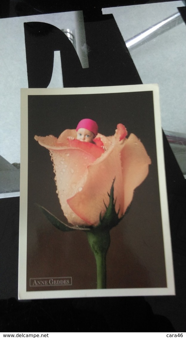 CP - Rose Baby Par Anne Geddes - Autres & Non Classés