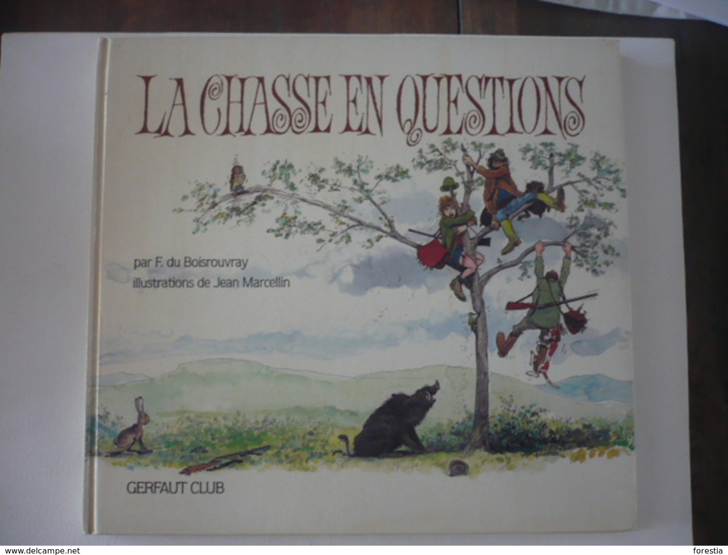 La Chasse En Questions - BOISROUVRAY Fernand - Chasse/Pêche