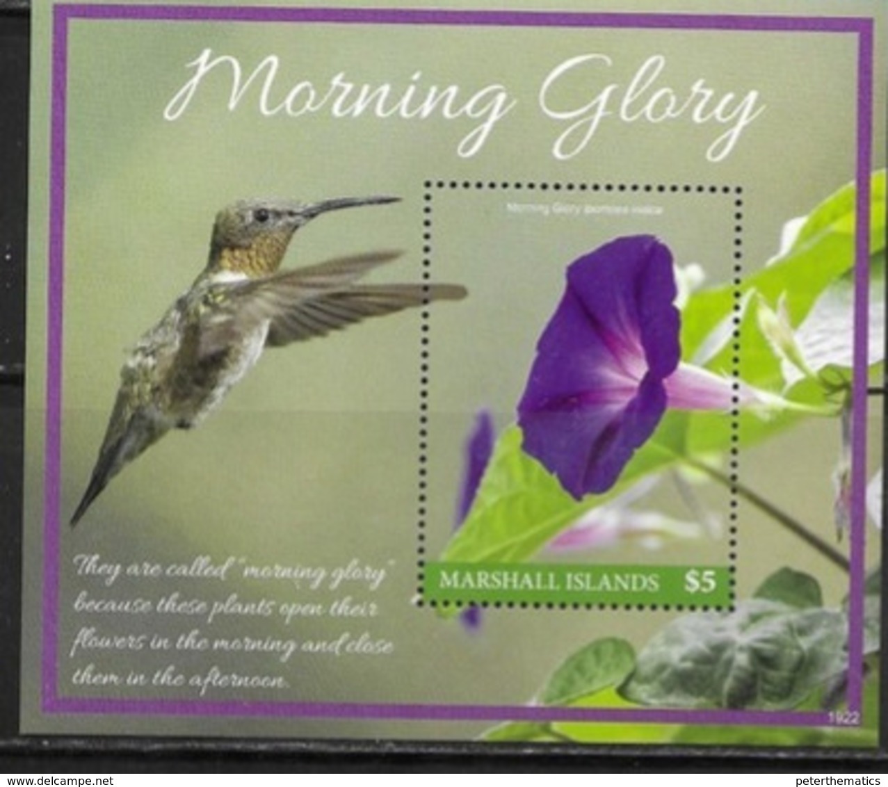 MARSHALL ISLANDS, 2019, MNH, FLORA, FLOWERS, MORNING GLORY,BIRDS, HUMMING BIRDS, S/SHEET - Hummingbirds