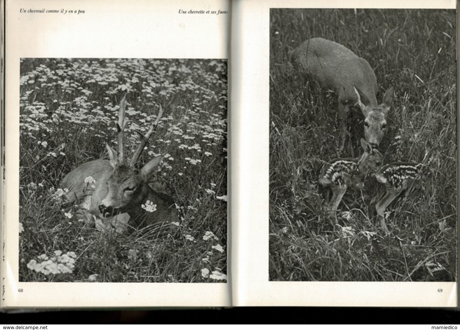 1978 PHOTOGRAPHIES " LA CHASSE SILENCIEUSE" 240 Pages. Livre Relié, Couverture Toile TBE - Photographs