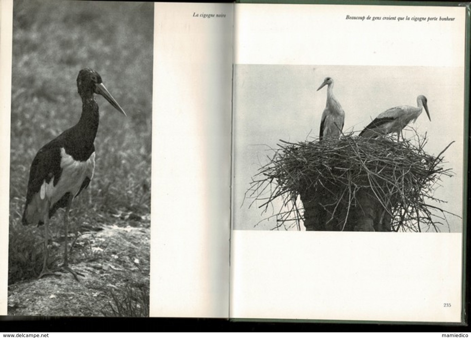 1978 PHOTOGRAPHIES " LA CHASSE SILENCIEUSE" 240 pages. Livre relié, couverture toile TBE