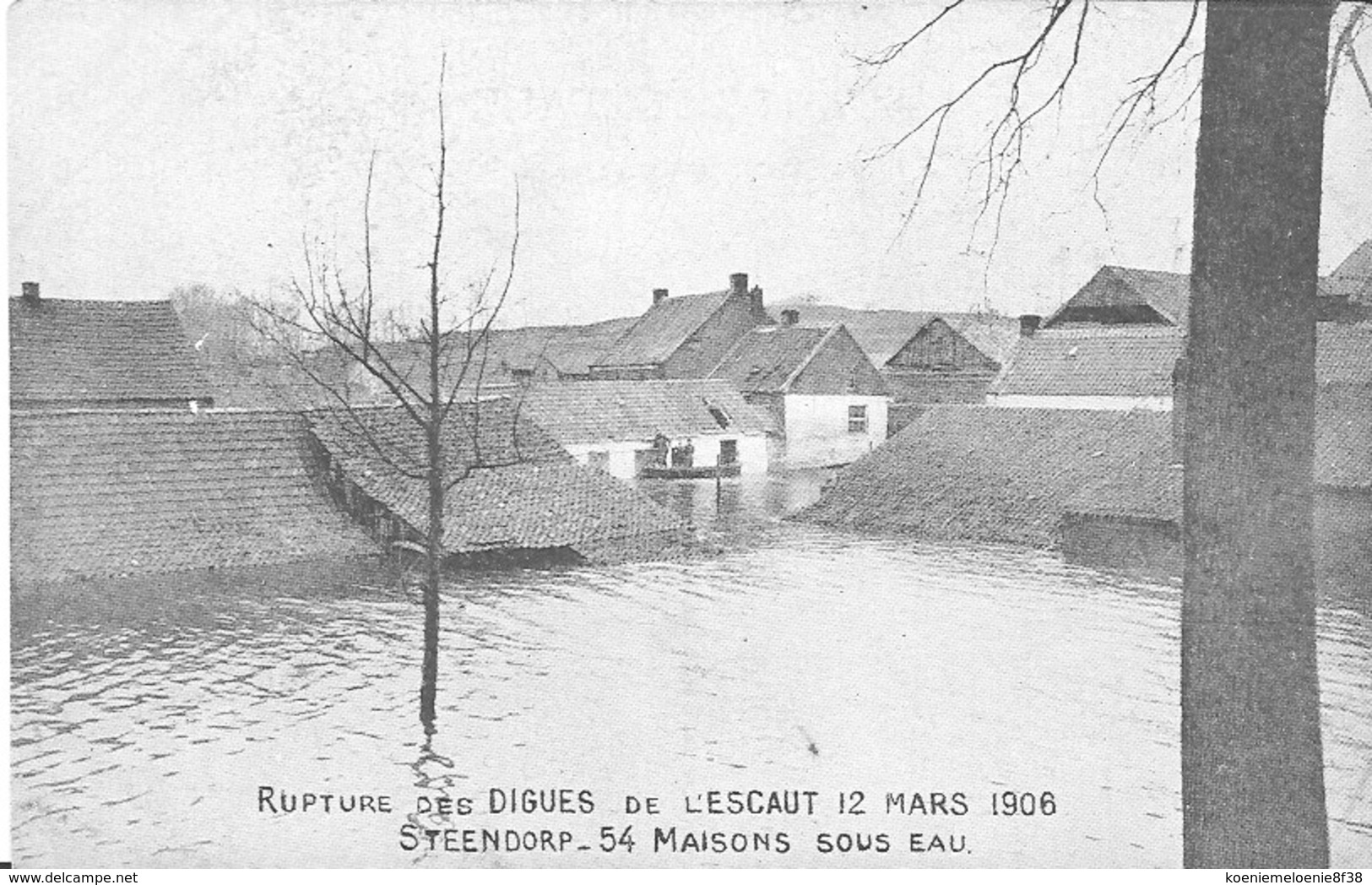 STEENDORP - RUPTURE DES DIGUES DE L'ESCAUT 12 MARS 1906   54 MAISONS SOUS EAU - Autres & Non Classés