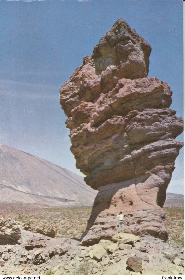 Postcard - Tenerife - Stone Tree In The Dales - Card No.245 Unused Very Good - Unclassified