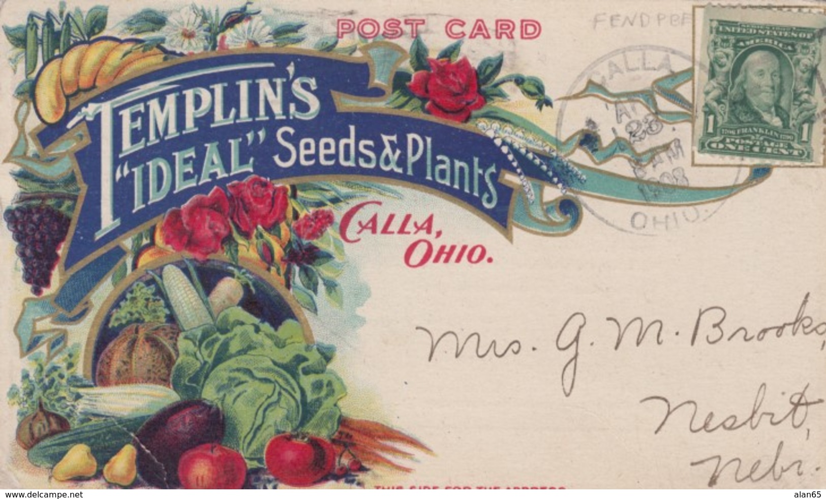 Templin's Company 'Ideal' Seeds And Plants, Calla Ohio Advertisement, 1900s Vintage Postcard - Pubblicitari