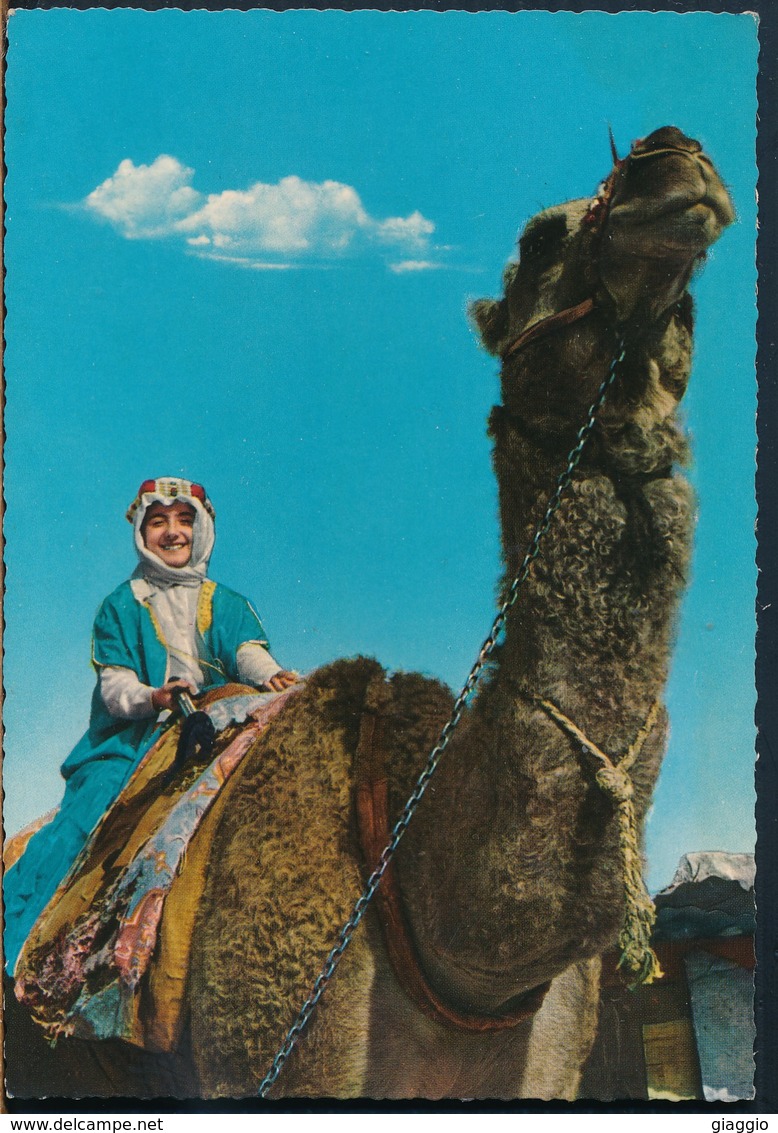 °°° 18405 - SAUDI ARABIA - A RIDE ON THE CAMEL °°° - Arabia Saudita