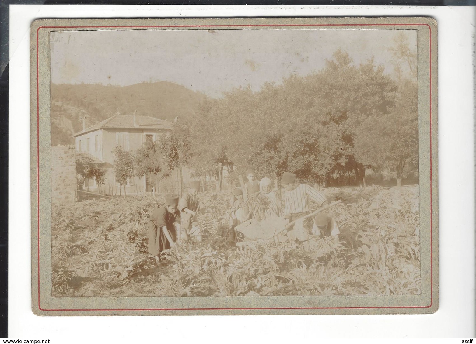 KABYLIE  8 Photographies - Etablissements Pères Blancs - Soeurs Blanches ( Hôpital d'Arris ) vers 1900