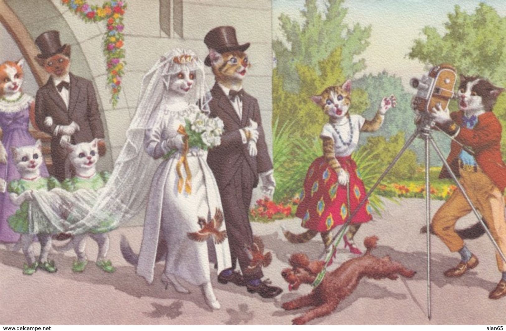 Mainzer Artist Image Cats Dressed As People Wedding Scene, Camera C1950s/60s Vintage Belgian Postcard - Andere & Zonder Classificatie