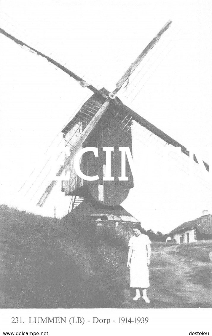 231 Dorp 1914-1939 Molen - Lummen - Lummen