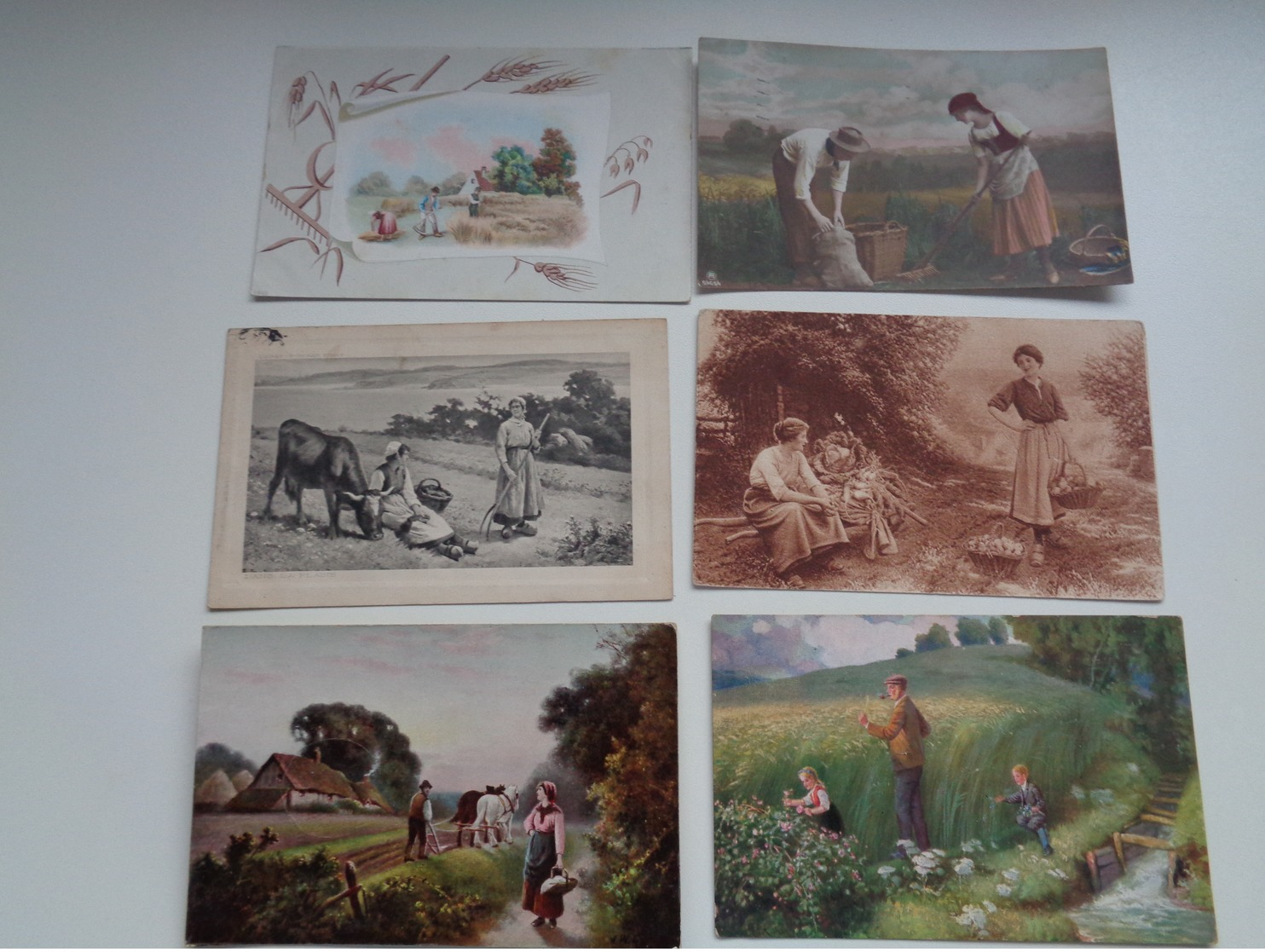 Beau Lot De 20 Cartes Postales De Fantaisie  Agriculture    Mooi Lot Van 20 Postkaarten Fantasie Landbouw - 20 Scans - 5 - 99 Cartes