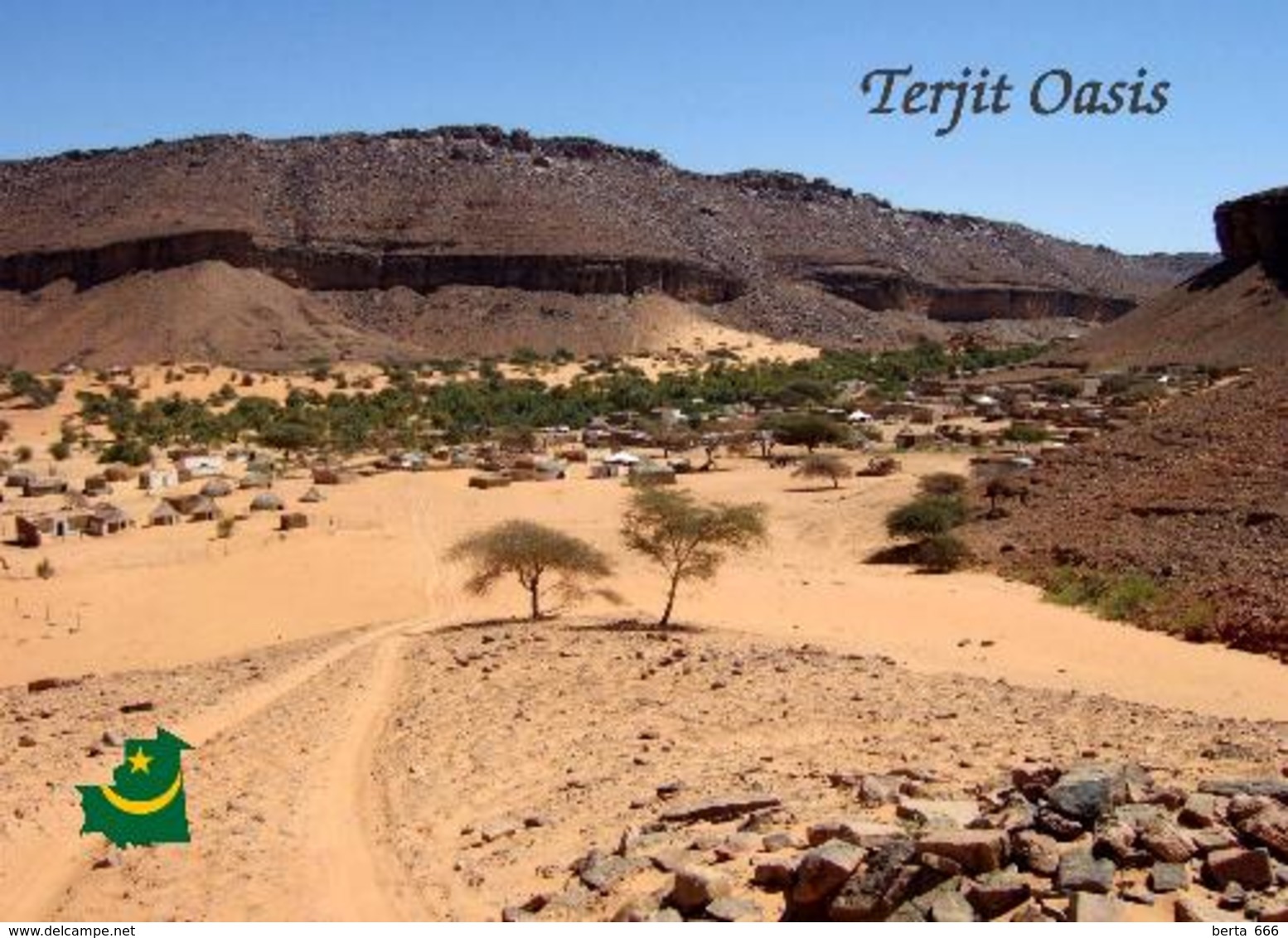 Mauritania Terjit Oasis New Postcard Mauretanien - Mauretanien