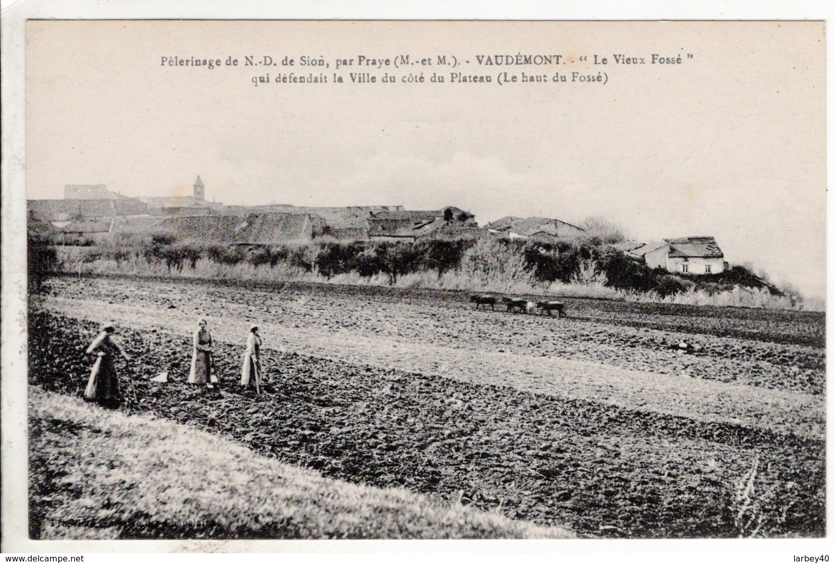 Cpa Vaudemont Le Vieux Fosse - Autres & Non Classés