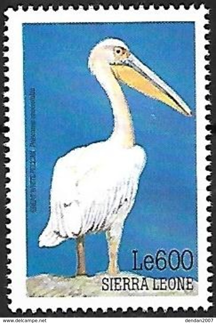 Sierra Leone - MNH 1999 -    Great White Pelican  - Pelecanus Onocrotalus - Pelikane