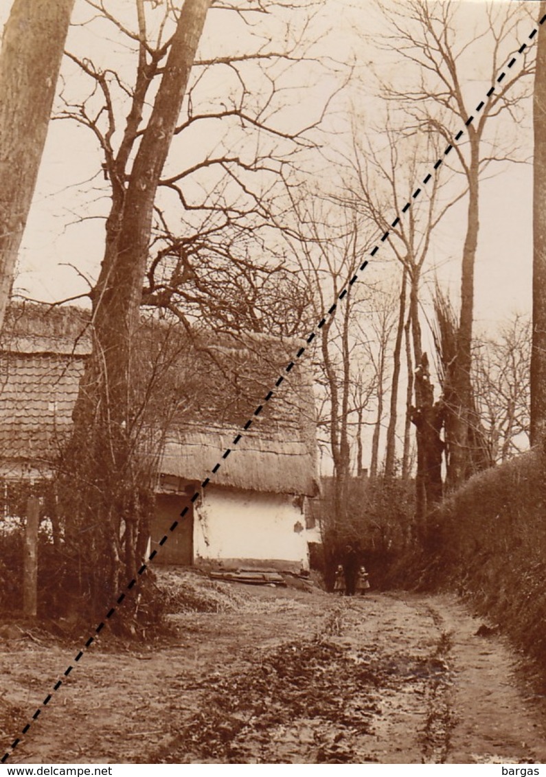 1894 Photo De Gaesbeek Gaasbeek - Ancianas (antes De 1900)