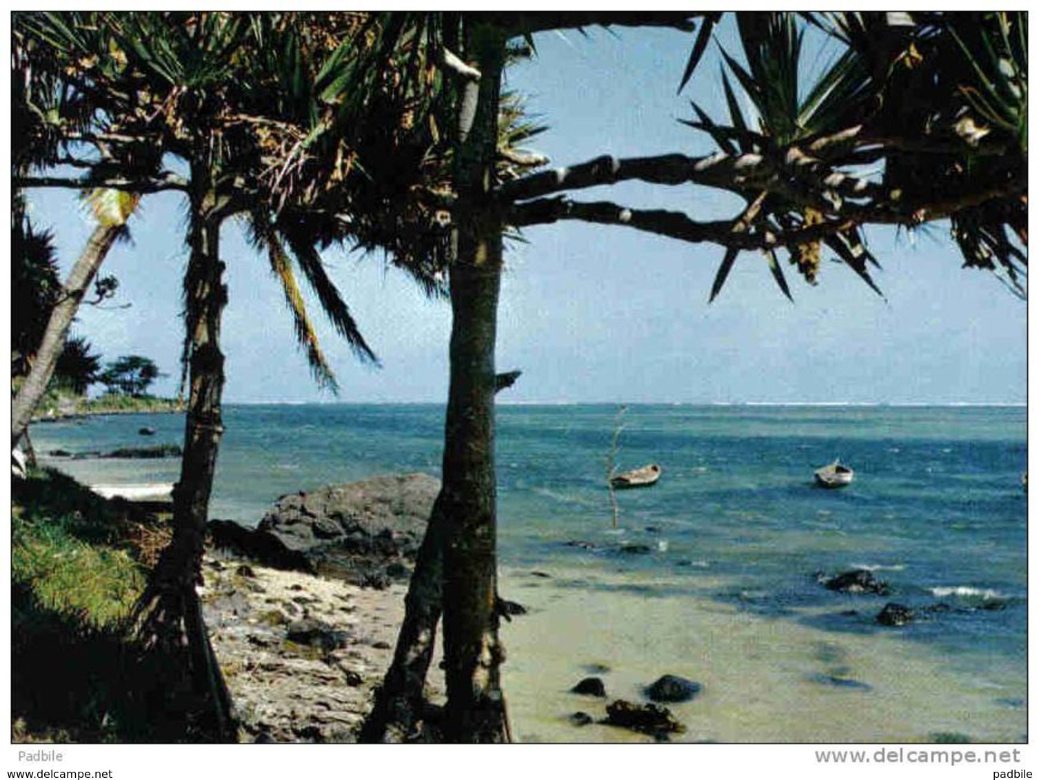 Carte Postale Afrique  île Maurice Mauritius  Baie Du Cap Trés Beau Plan - Maurice