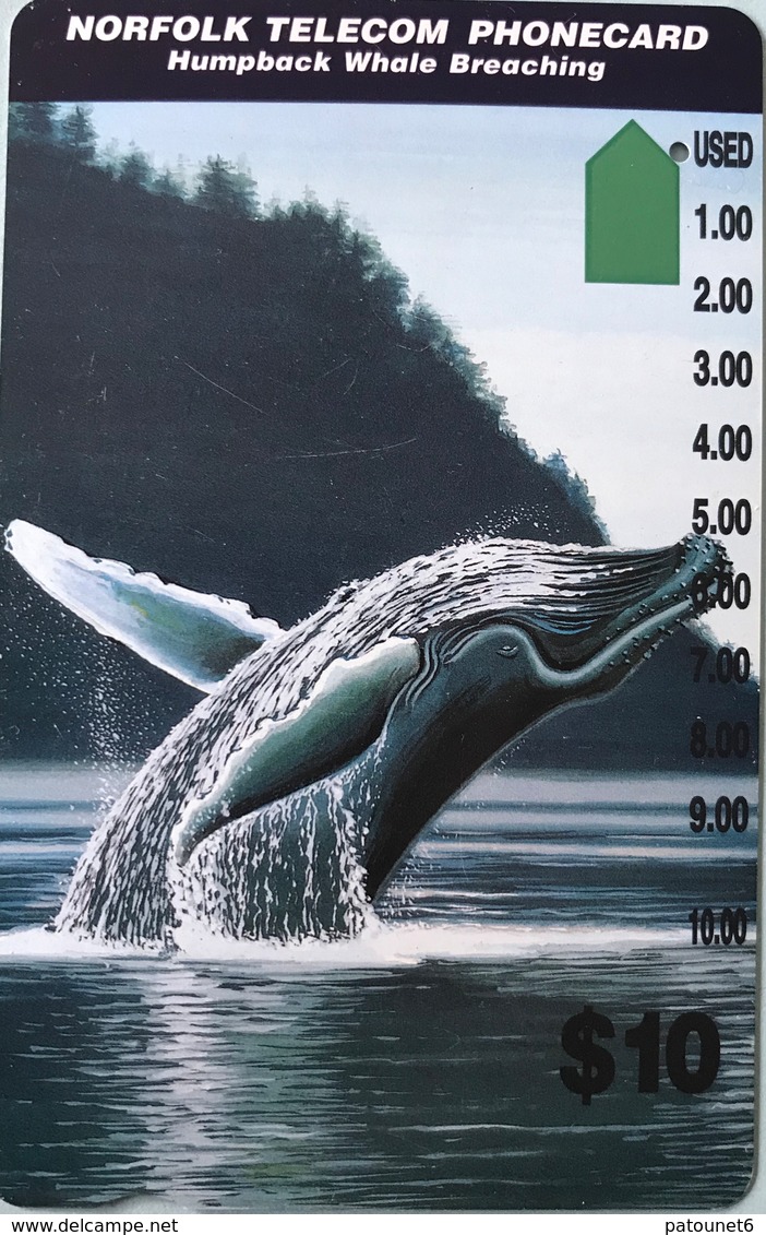 ILE NORFOLK  -  Phonecard  -  " Tamura " -  Humpback Whale Breaching  -  $10 - Norfolkinsel