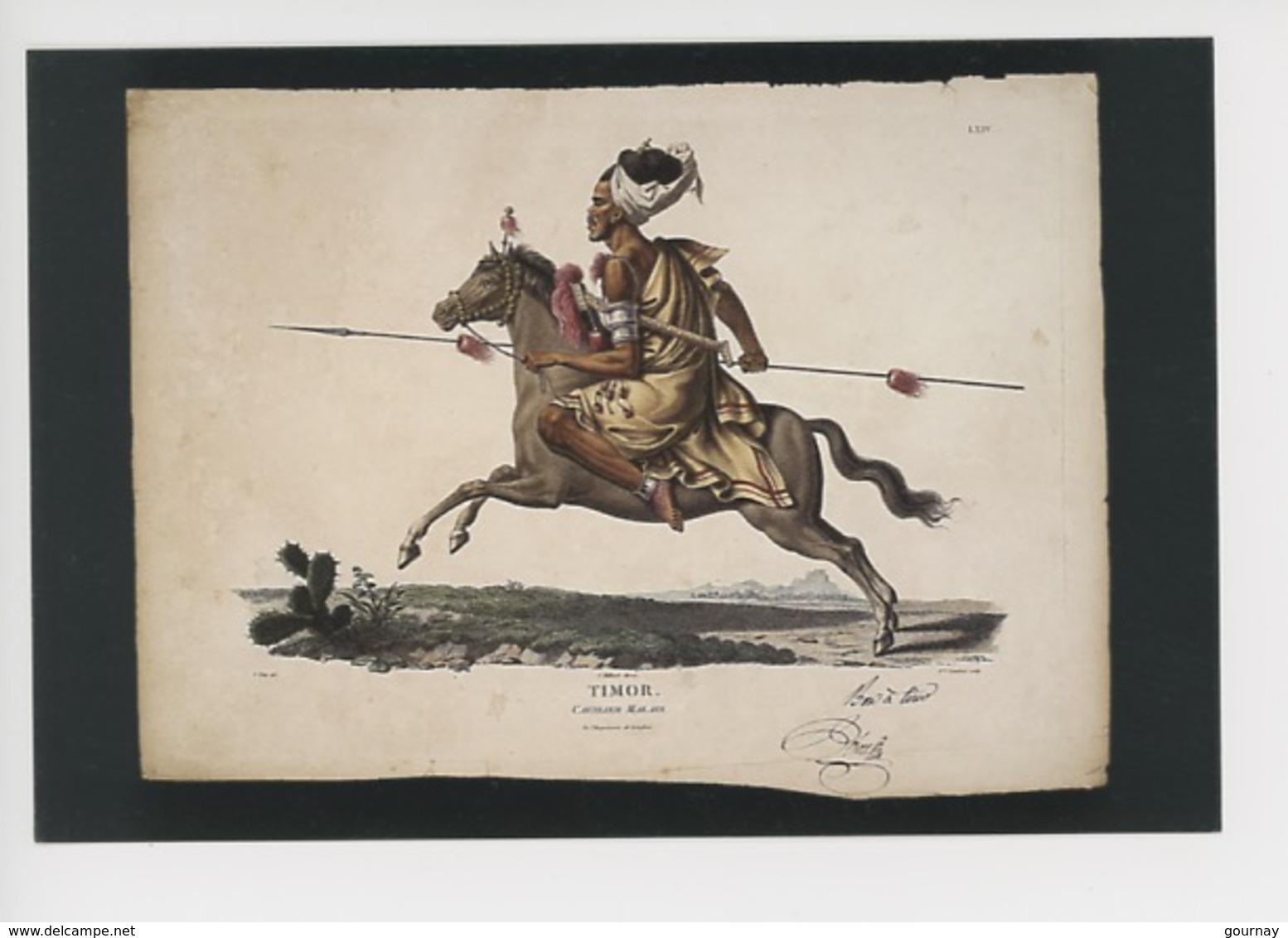 Nicolas-Martin Petit : Timor (Indonésie) Cavalier De Timor (cheval) 1800/1804 Estampe Sur Papier (cp Vierge) - Timor Oriental