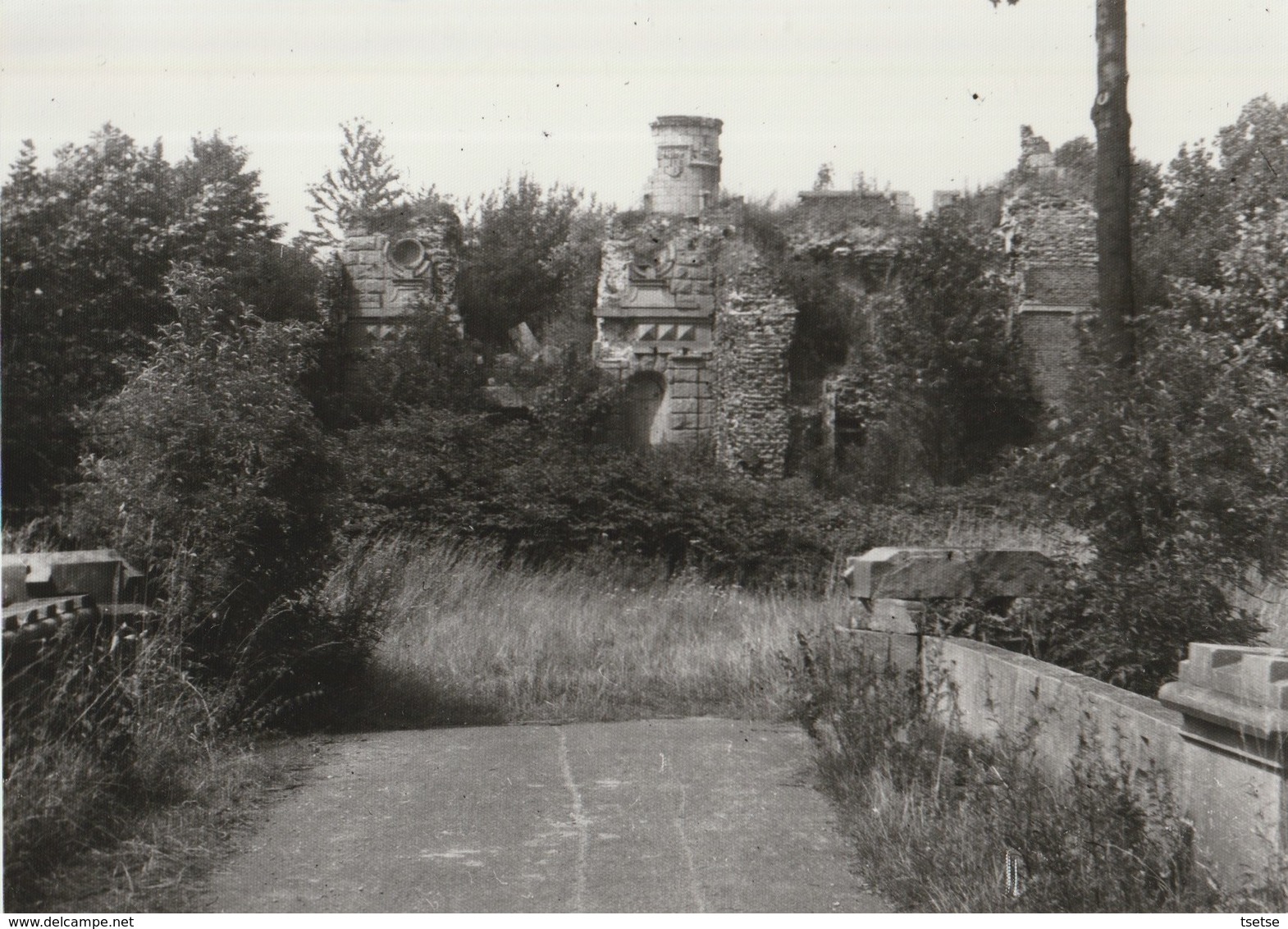 Boussu  - Ruines Du Château ... Photo  Années 80 ( 1 ) - Boussu