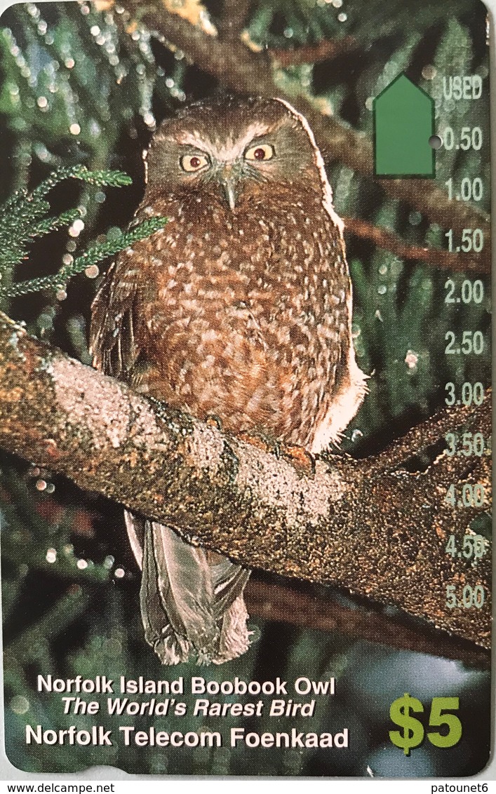 ILE NORFOLK  -  Phonecard  -  " Tamura " -  Norfolk Island Boobook Owl   -  $5 - Isla Norfolk