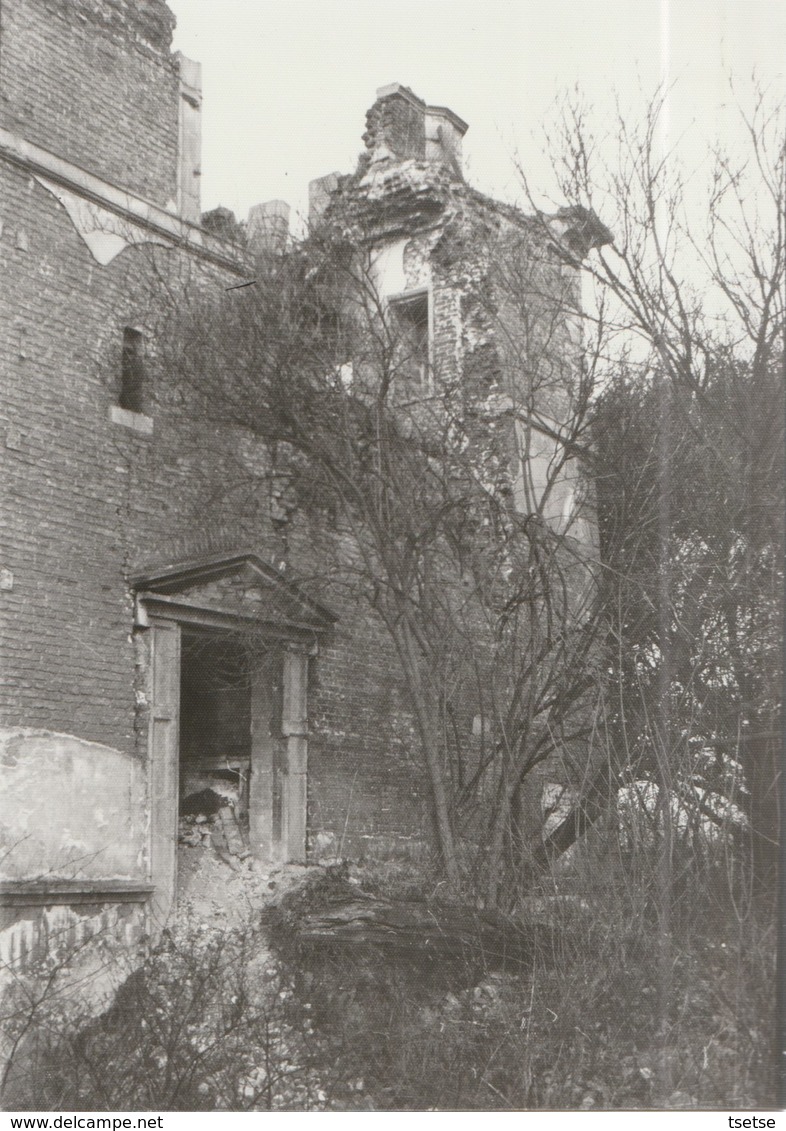 Boussu  - Ruines Du Château ... Photo  Années 80 ( 3 ) - Boussu