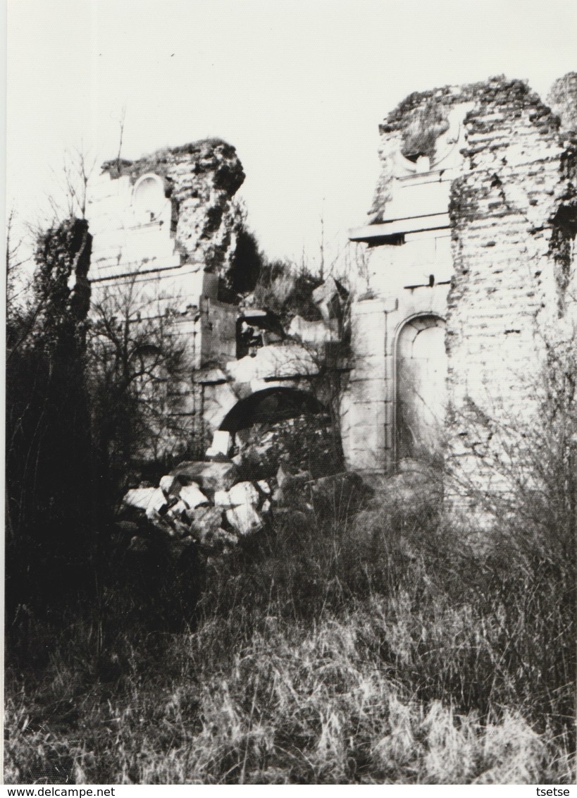 Boussu  - Ruines Du Château ... Photo  Années 80 ( 4 ) - Boussu