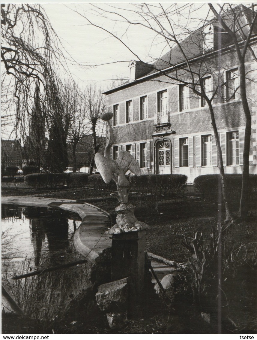 Boussu  - Home Guérin - Façade Arrière ... Photo  Années 80 - Boussu