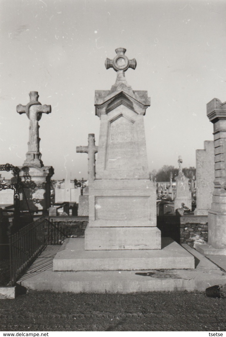 Boussu  - Cimetière - Monument Du Docteur Guérin ... Photo Années 80 - Boussu